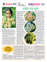 AwaazBD Epaper 14 July, 2024 Bangla Popular Newspaper8